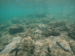 DSCN02742