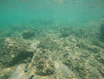 DSCN02743