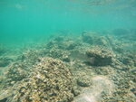 DSCN02744