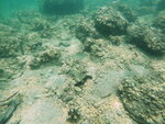 DSCN02745