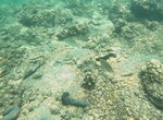 DSCN02746