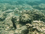 DSCN02747