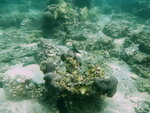 DSCN02748