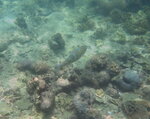 DSCN02749