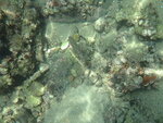DSCN02750