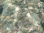 DSCN02751