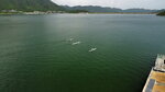 DSCN02181