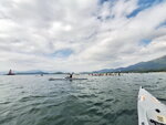 DSCN01553
