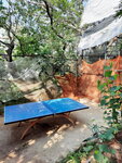 DSCN03737
