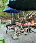 DSCN03738