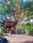 DSCN03740
