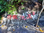 DSCN03743
