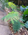DSCN03745