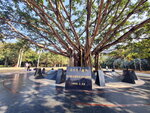DSCN01465