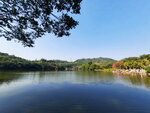 DSCN01473