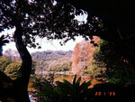DSCN01719