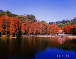 DSCN01721