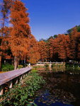 DSCN01722