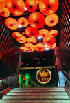 DSCN05220