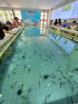 DSCN05256