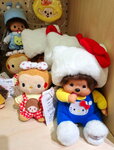 DSCN07286