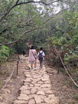 DSCN06129