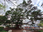 DSCN04743