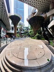 DSCN13634