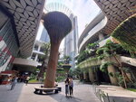 DSCN13635