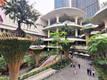 DSCN13636