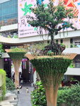 DSCN13638