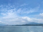 DSCN03176