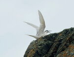DSCN03194