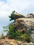 DSCN03204