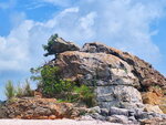 DSCN03206