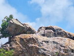 DSCN03211