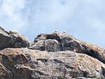 DSCN03214