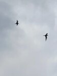 DSCN03179