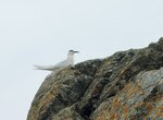 DSCN03193
