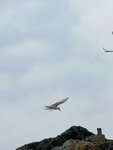 DSCN03183
