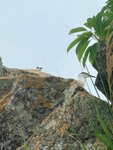 DSCN03195