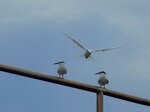 DSCN03198