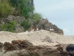 DSCN03191