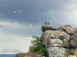 DSCN03188