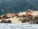 DSCN03190
