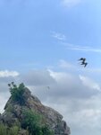 DSCN03196