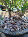 DSCN14062