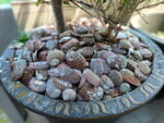 DSCN14063