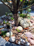 DSCN14064