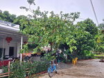 DSCN06228